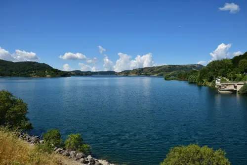 Lago di Scutari: uccelli, ninfee e natura balcanica