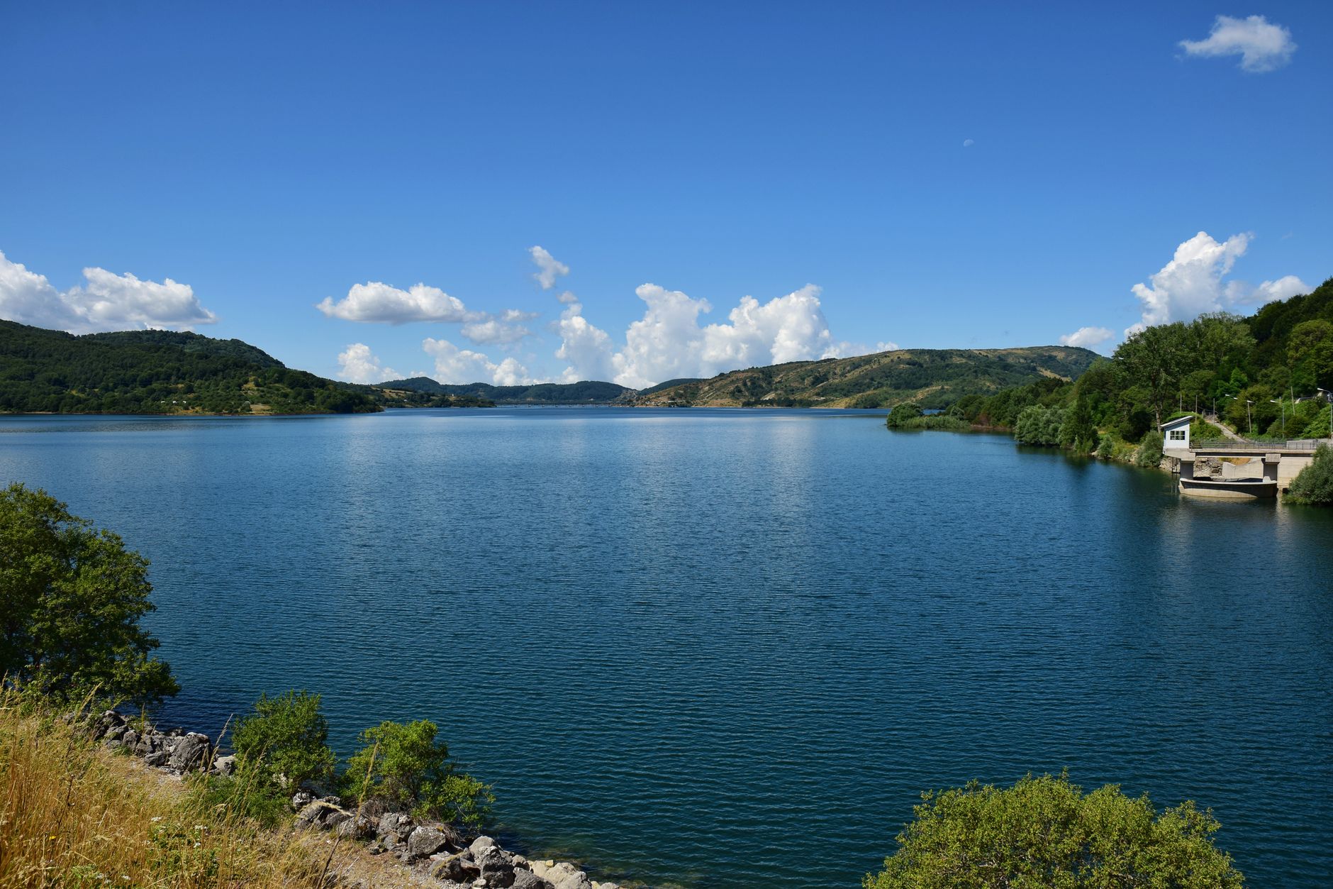 Lago di Scutari: uccelli, ninfee e natura balcanica