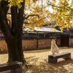 Guida pratica per un viaggio in Corea