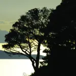 Turismo isole Egadi, qualche consiglio utile